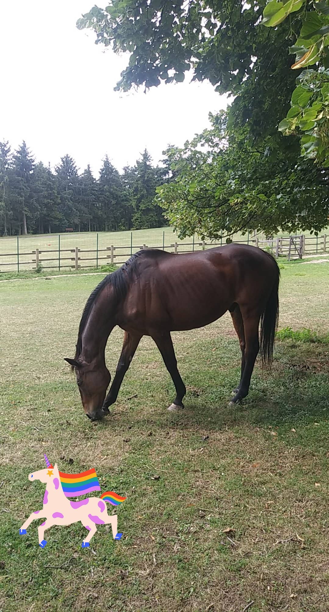 Photo n° 1 de l'avis de chouaib.z fait le 19/06/2020 à 18:43