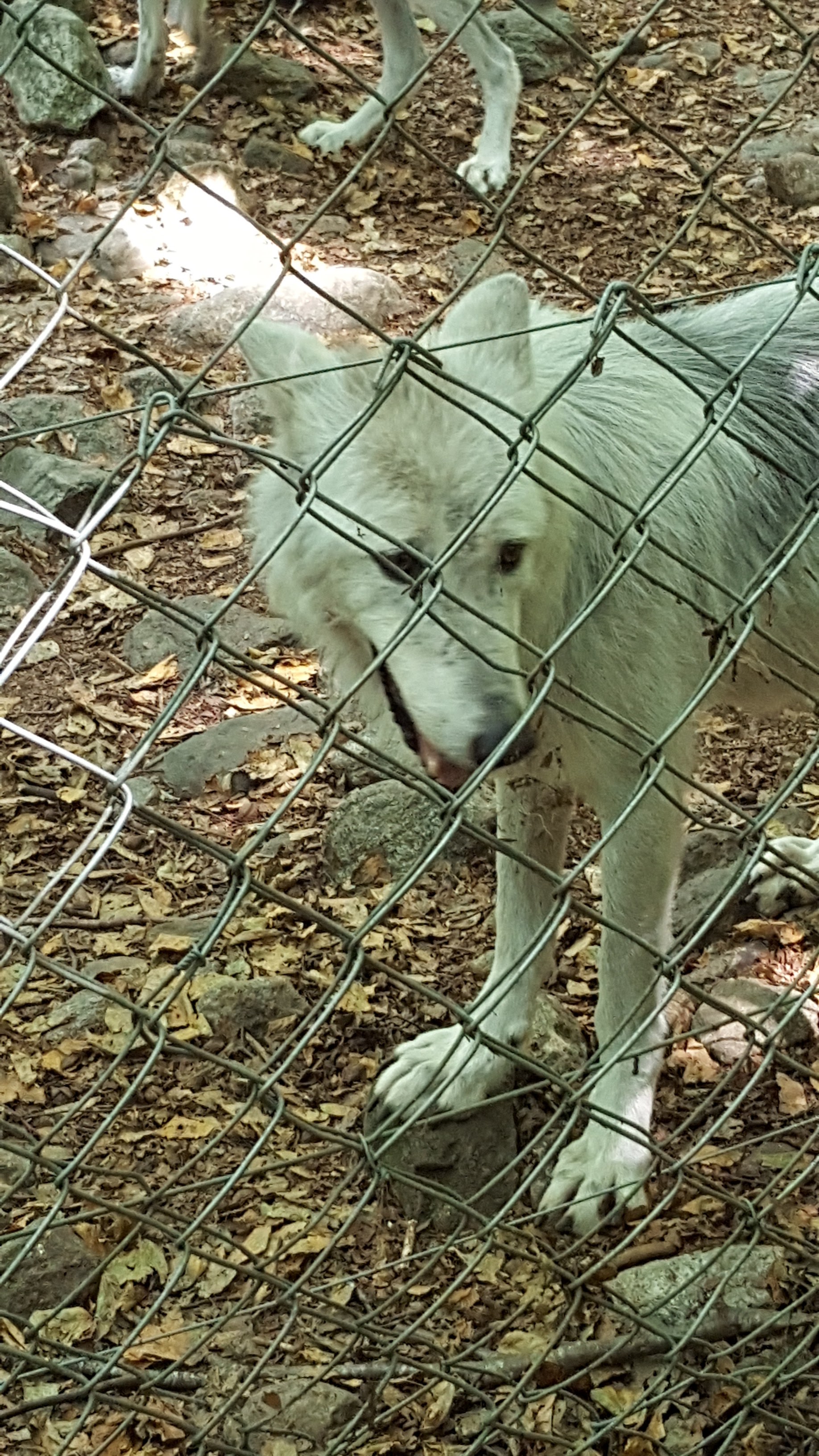 Photo n° 1 de l'avis de Laurence.o fait le 09/08/2018 à 23:04