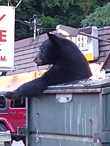 Liquor Store «Parkway Liquor Store», reviews and photos, 288 Parkway, Gatlinburg, TN 37738, USA