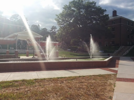 Book Store «University Bookstore», reviews and photos, 705 E Lawson St, Durham, NC 27701, USA