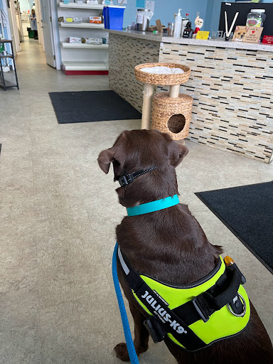 London North Animal Hospital image