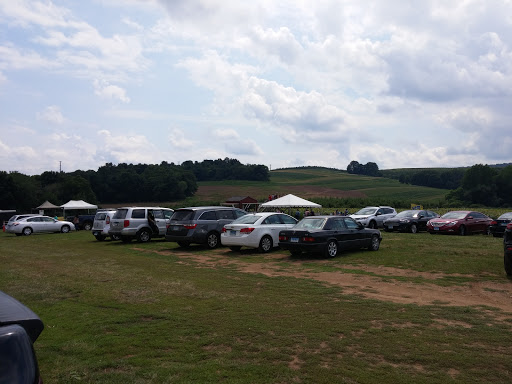 Tourist Attraction «Sunflower Maze», reviews and photos, South St, Middlefield, CT 06455, USA