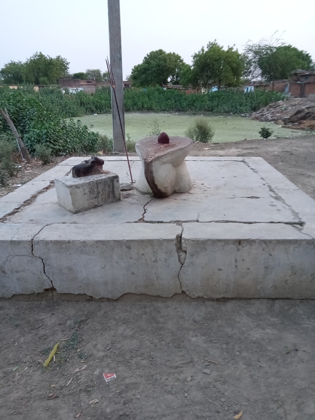 श्री दुर्गा शक्ति मंदिर बड़ी माता कुसमरा