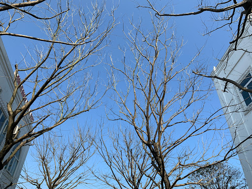 Top 10 cửa hàng đồ gỗ Huyện Đảo Cồn cỏ Quảng Trị 2022