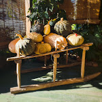 Photo n°1 de l'avis de G.C fait le 09/11/2020 à 22:06 sur le  Ristorante all'Edera Sas à Miane