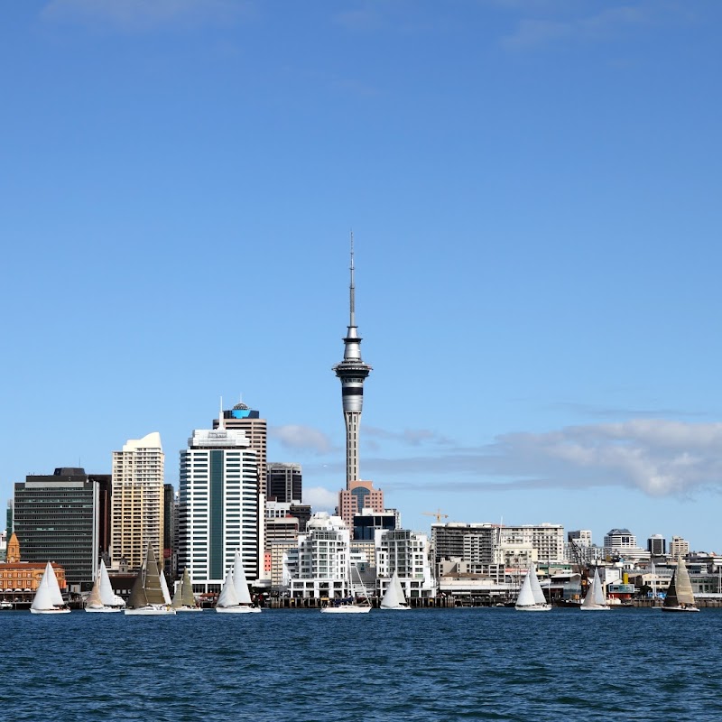 Advance Painting Auckland