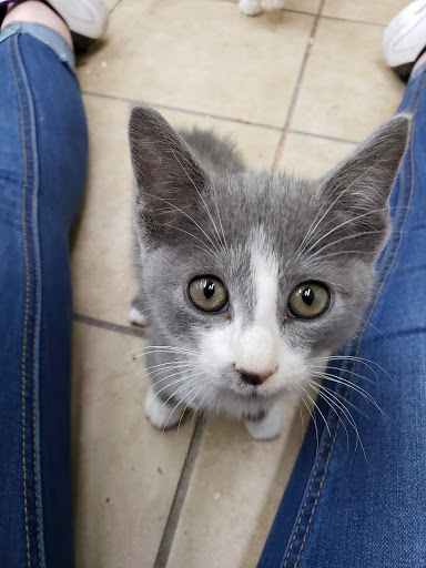 Pet Store «Pets Plus - Quakertown», reviews and photos, 117 S West End Blvd, Quakertown, PA 18951, USA