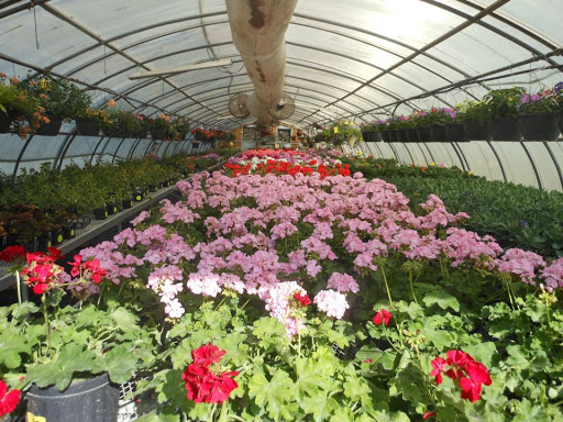 Produce Market «Kroul Farms», reviews and photos, 245 IA-1, Mt Vernon, IA 52314, USA