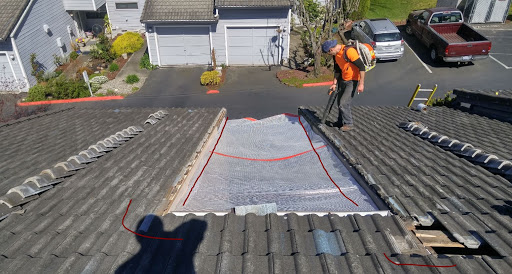 Davids Roof Cleaning and Repair LLC in Tacoma, Washington