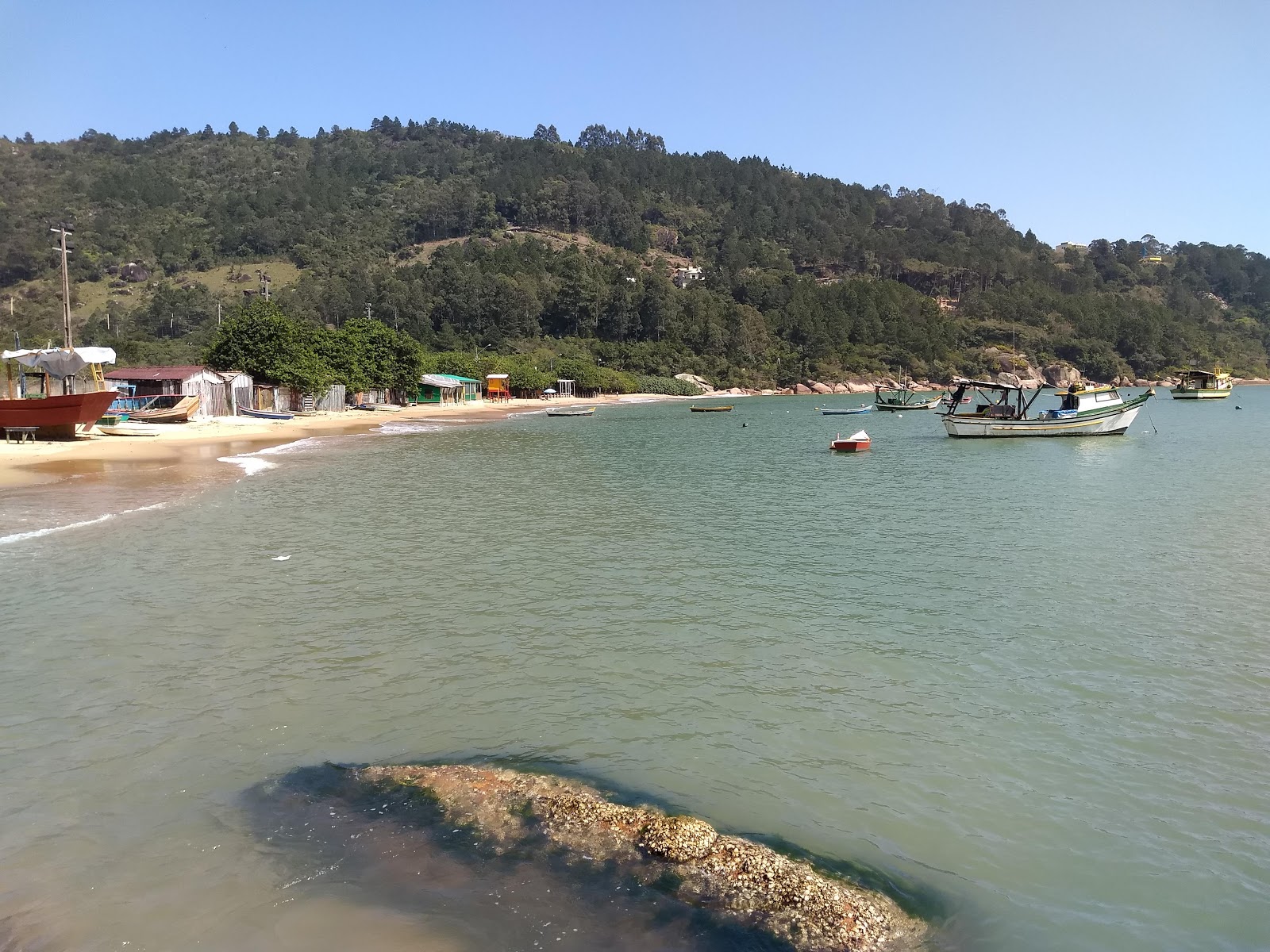 Foto af Praia de Calheiros - populært sted blandt afslapningskendere