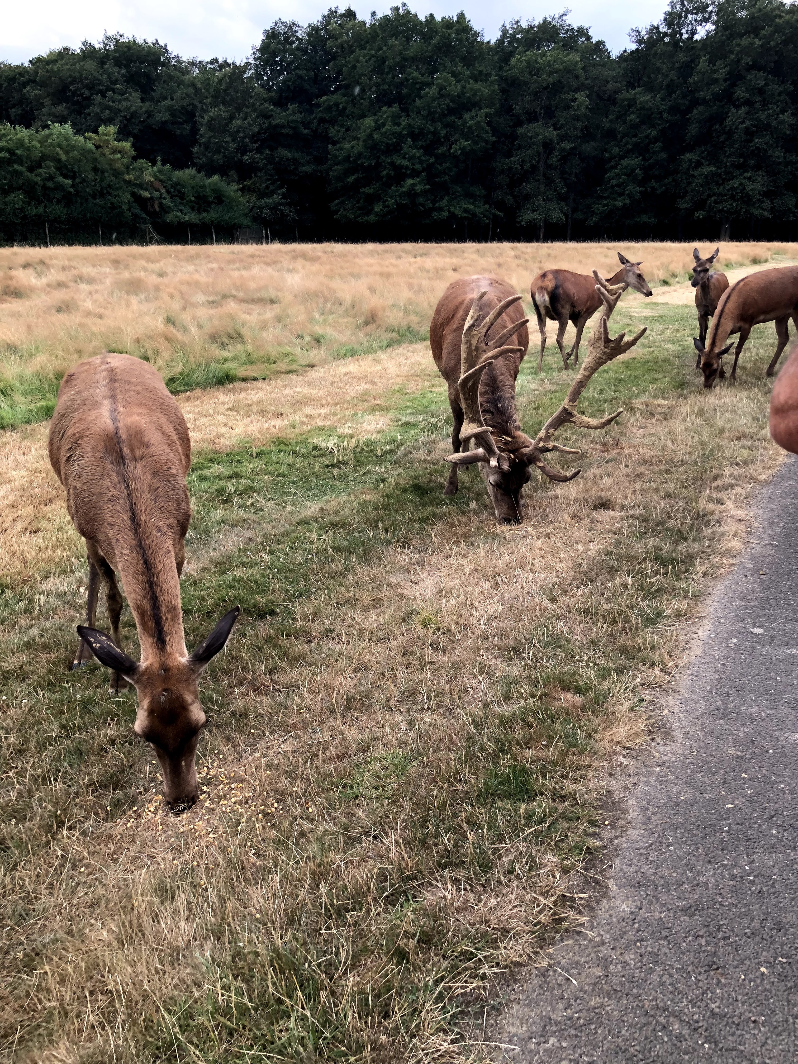 Photo n° 20 de l'avis de Julien.o fait le 27/07/2018 à 17:41