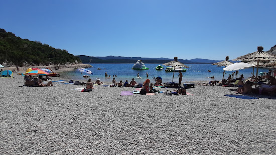 Uvala Moracna