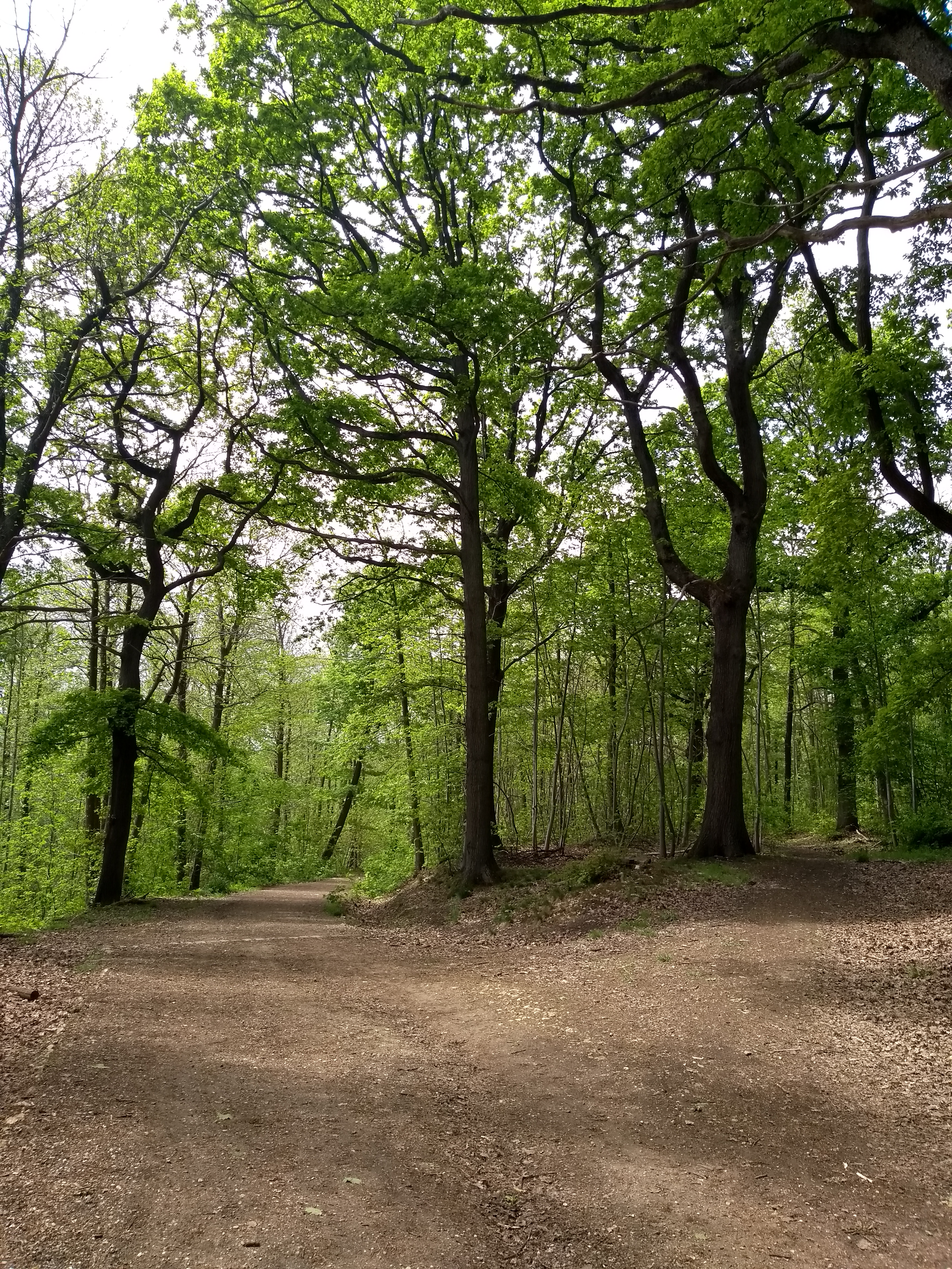 Photo n° 11 de l'avis de Martial.O fait le 05/05/2019 à 19:03