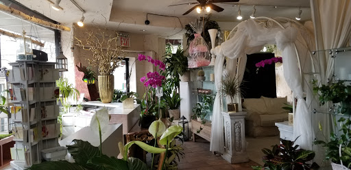 Florist «Cress Florists», reviews and photos, 248-02 Northern Blvd, Little Neck, NY 11362, USA