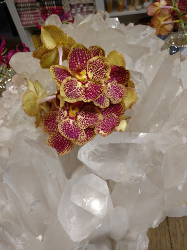 Florist «Bloom by Anuschka», reviews and photos, 2353 E 3rd Ave, Denver, CO 80206, USA