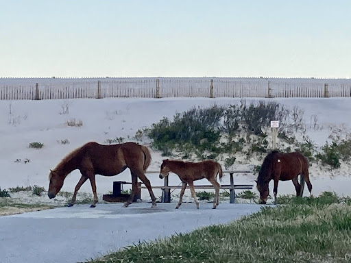 Recreational Vehicle Rental Agency «84 RV Rentals & Service», reviews and photos, 120 Clove Rd, Sussex, NJ 07461, USA