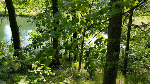 Golf Course «Pine View Golf Club», reviews and photos, Pulver Rd, Three Rivers, MI 49093, USA