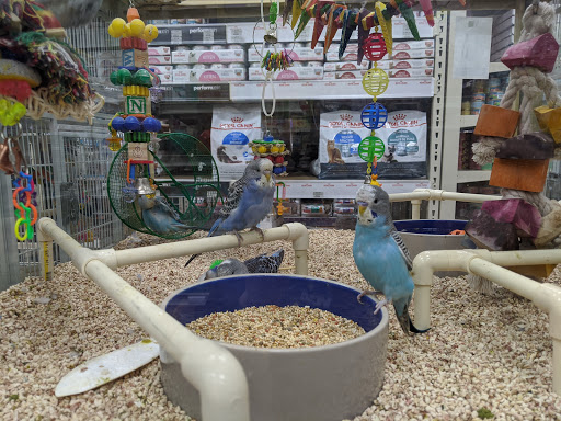 Pet Supply Store «Pet Supermarket», reviews and photos, 880 A1A N, Ponte Vedra Beach, FL 32082, USA