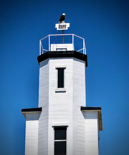 Bicycle Store «Meat Machine Cycles», reviews and photos, 22 Web St, Friday Harbor, WA 98250, USA