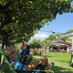 Photo n°1 de l'avis de Moira.a fait le 30/08/2022 à 05:17 sur le  bike and wine bar à Dro