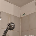 Photo n°3 de l'avis de Luciano.f fait le 15/01/2023 à 16:16 sur le  Tulip Inn Turin South Hotel à Moncalieri