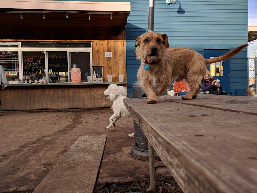 Yard Bar