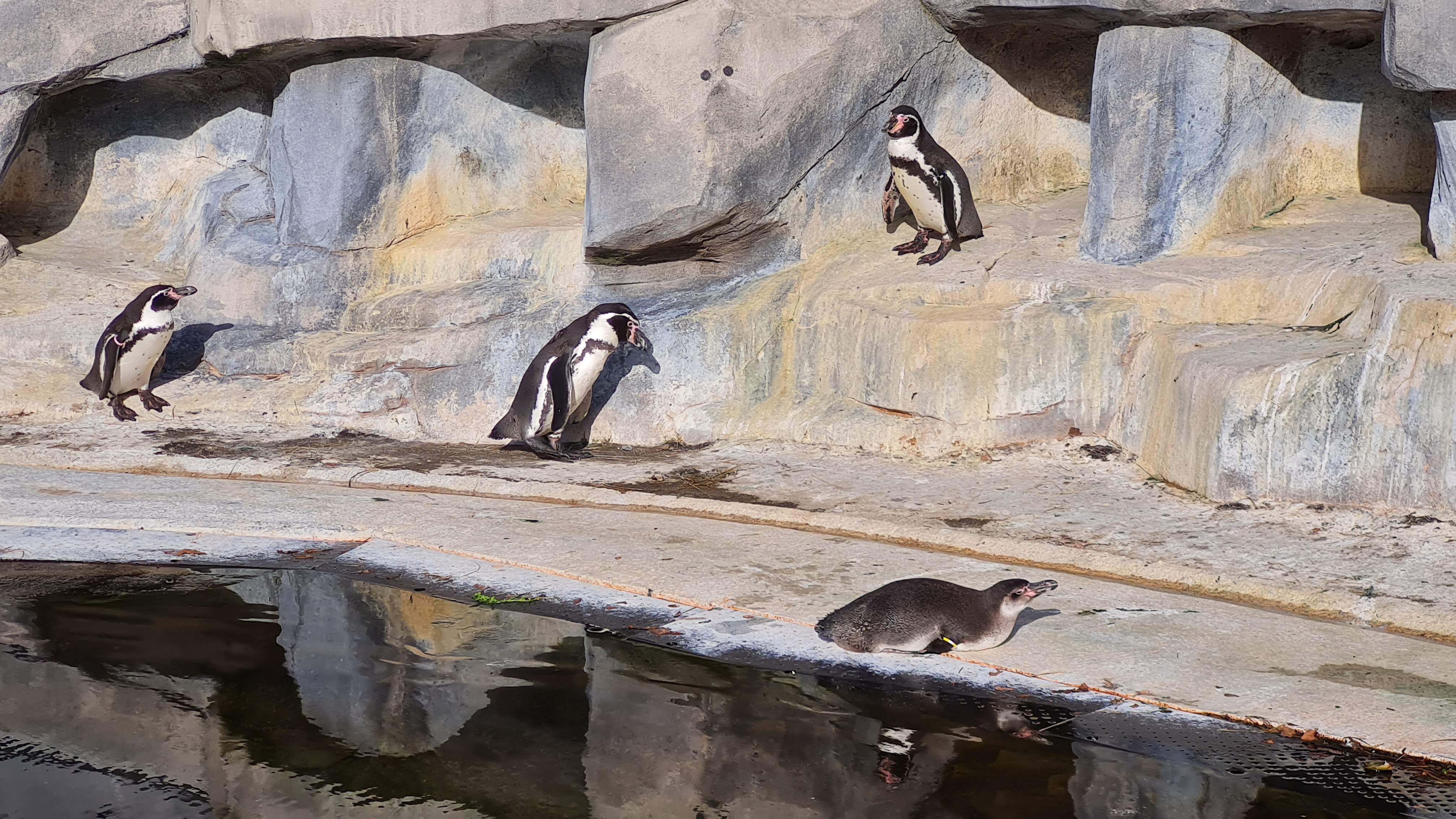 Photo n° 4 de l'avis de Thierry.u fait le 14/10/2023 à 18:57