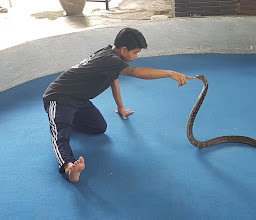 Krabi King Cobra Show photo