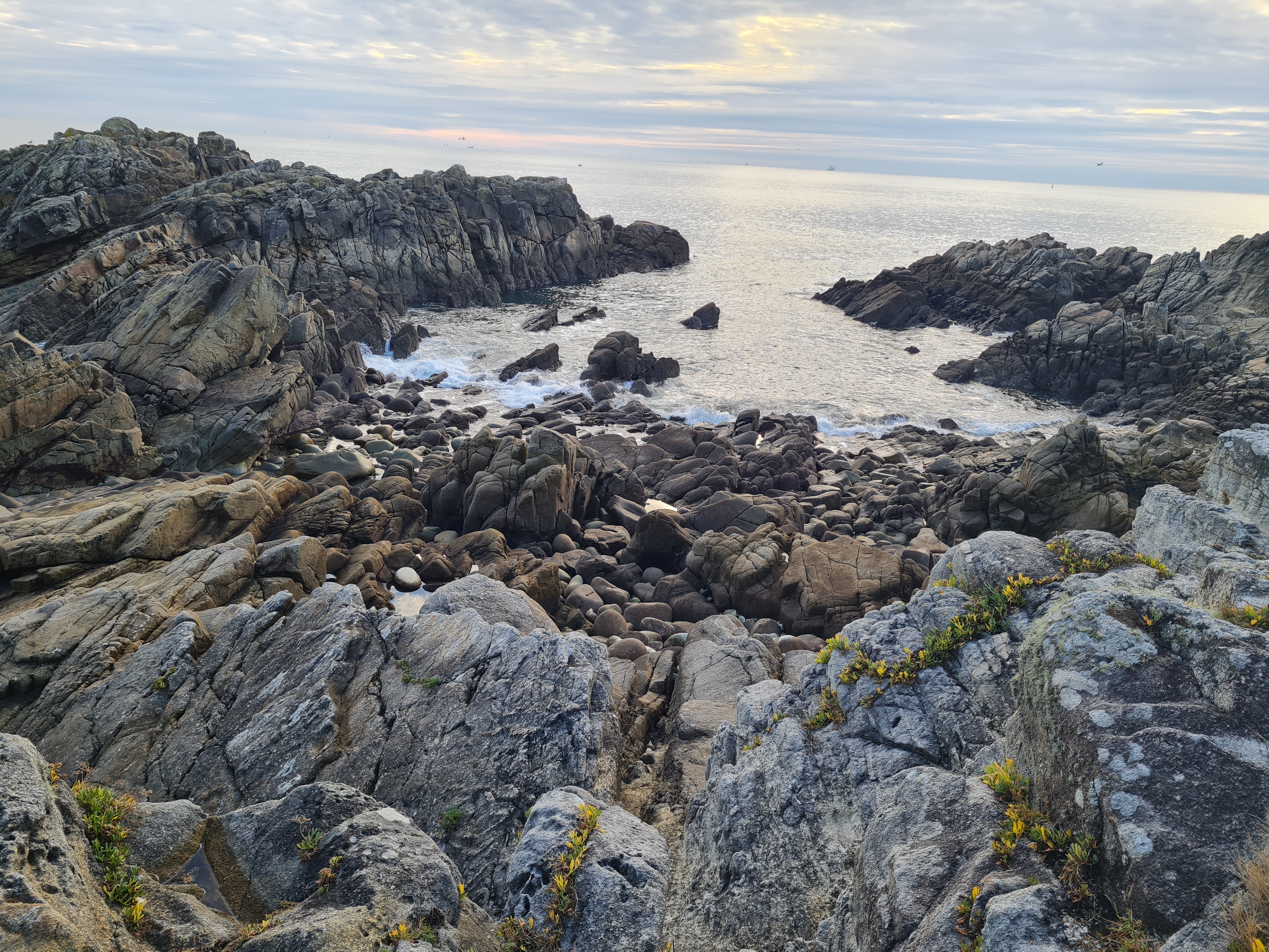 Photo n° 2 de l'avis de Maïnera. fait le 22/04/2019 à 15:24