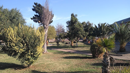 Plaza Araucarias