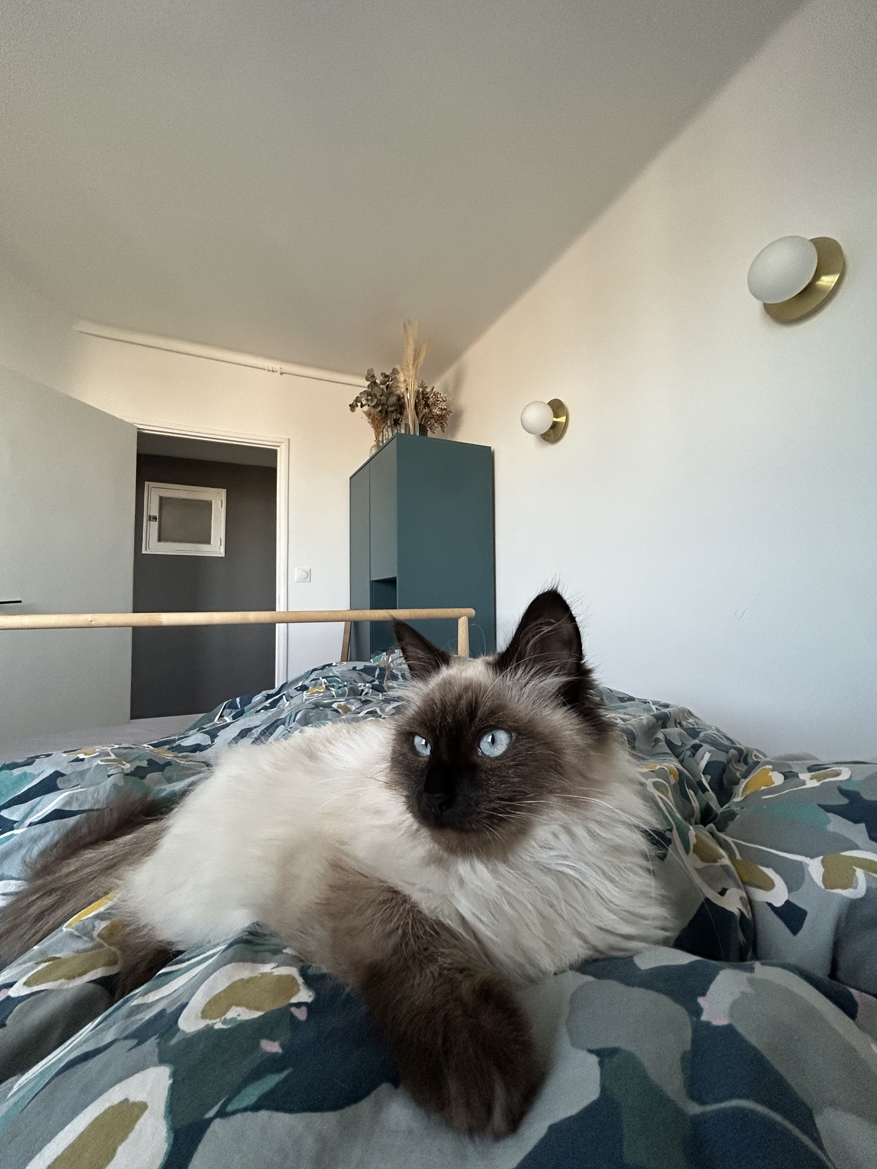 Photo n° 3 de l'avis de K.o fait le 26/10/2023 à 21:43