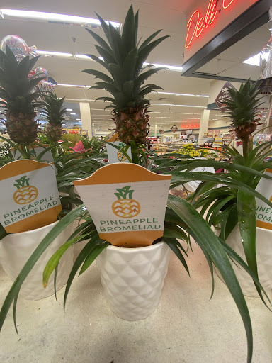 Grocery Store «Ingles Market», reviews and photos, 7173 Turner Lake Rd NW, Covington, GA 30014, USA