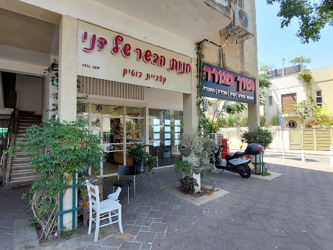 תמונה