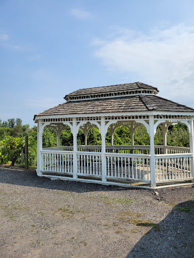 Orchard «George Hill Orchards», reviews and photos, 582 George Hill Rd, South Lancaster, MA 01561, USA