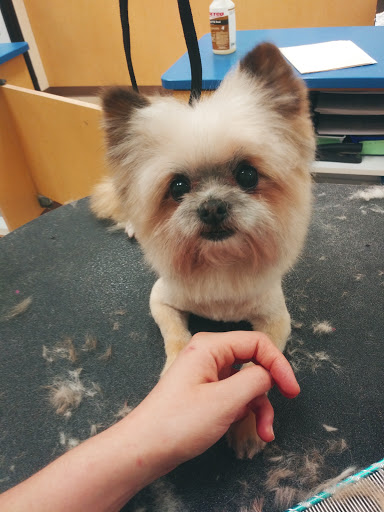 Pet Supply Store «Petsense Columbia», reviews and photos, 7402 Garners Ferry Rd, Columbia, SC 29209, USA