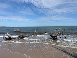 Black rock beach'in fotoğrafı - rahatlamayı sevenler arasında popüler bir yer