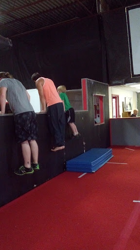 Gym «Phoenix Freerunning Academy», reviews and photos, 12936 Farmington Rd, Livonia, MI 48150, USA