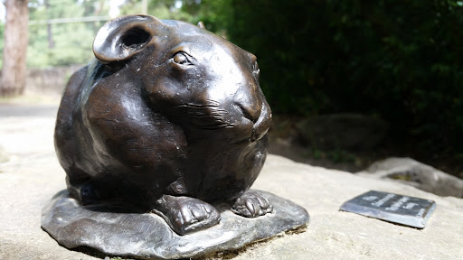 Park «Ravenna Park», reviews and photos, 5520 Ravenna Ave NE, Seattle, WA 98105, USA