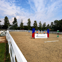 Horse Sporting Events