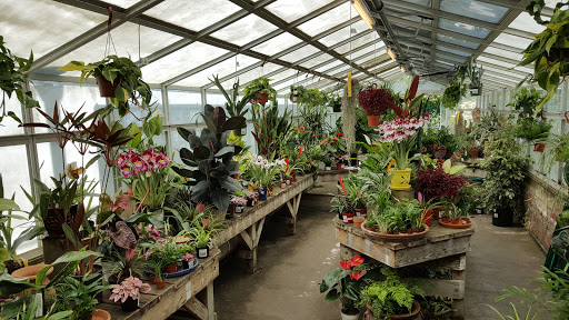 Berkeley Horticultural Nursery