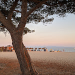 Photo n°2 de l'avis de Enrique.o fait le 26/07/2022 à 08:28 sur le  Ristorante Il Lido Oristano à Torre Grande