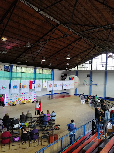 Gimnasio Cendyr - Valdivia