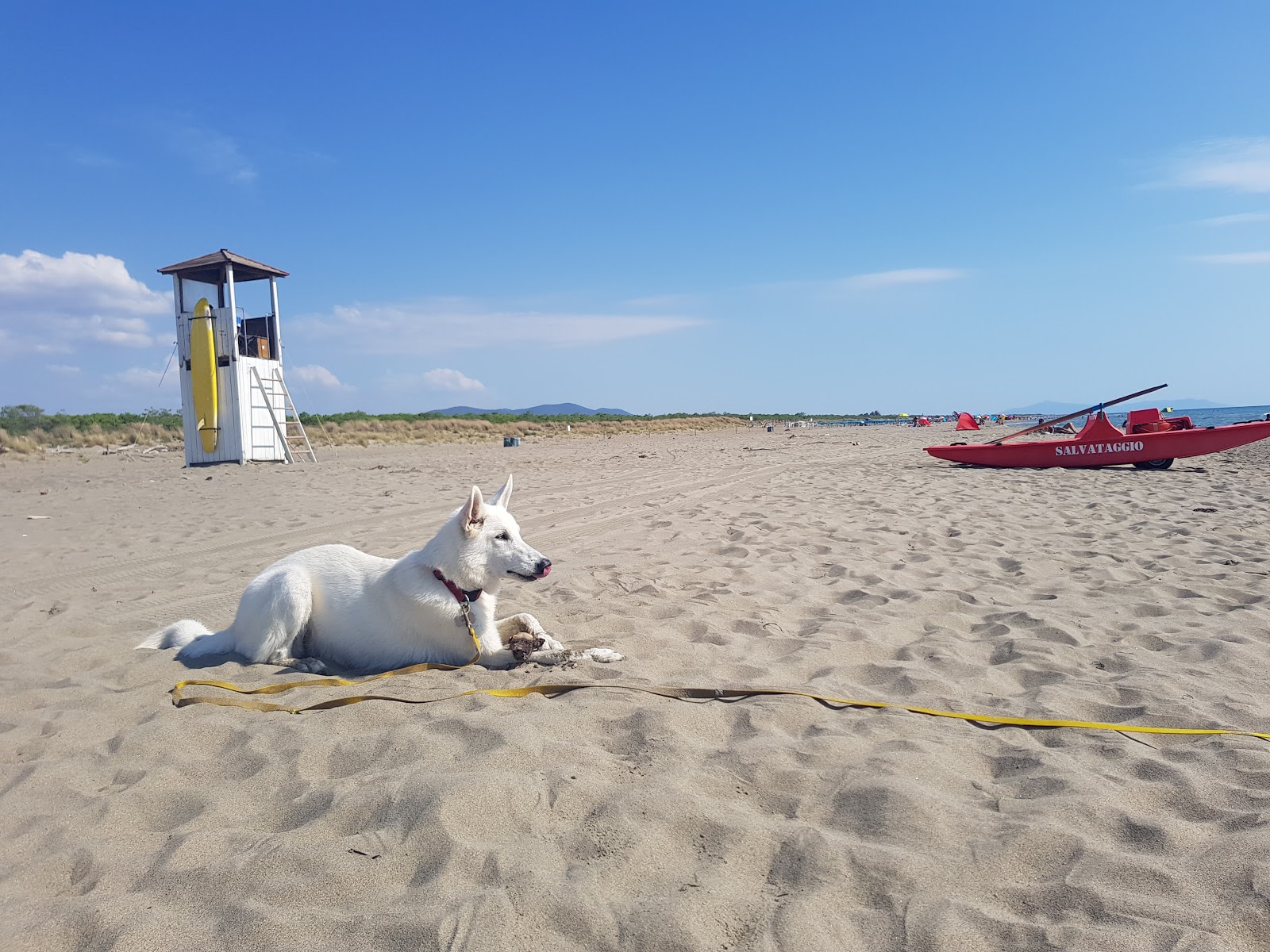 Foto de Marina di Grosseto II con muy limpio nivel de limpieza