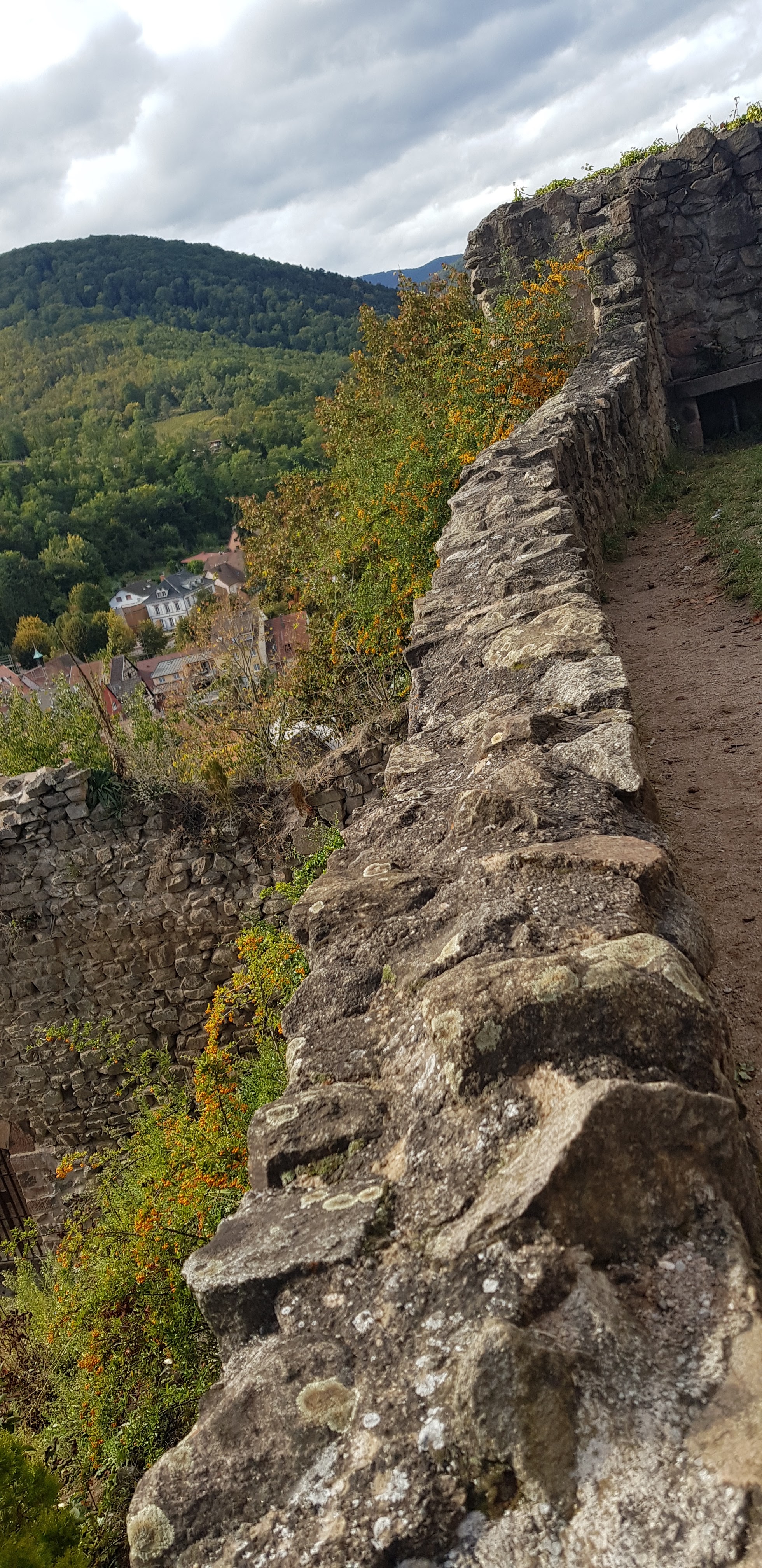 Photo n° 4 de l'avis de Nadine.a fait le 05/10/2021 à 15:20