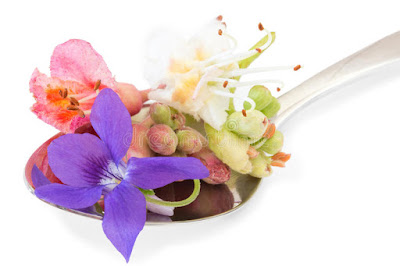 Coaching L'essence des fleurs à Roche-la-Molière