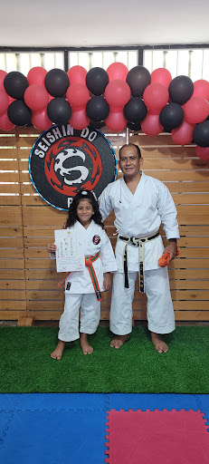 Escuela de Karate Seishin Do