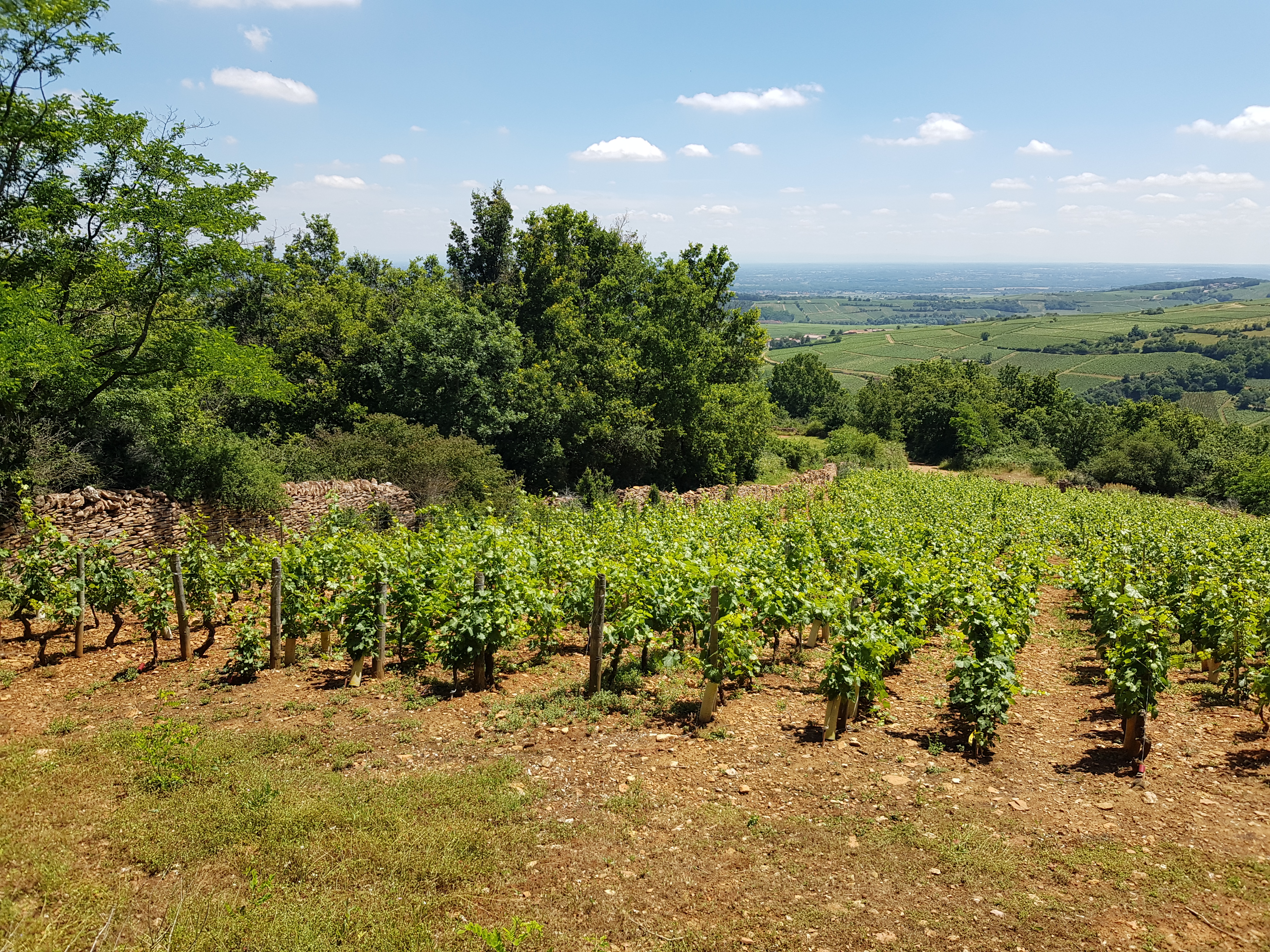 Photo n° 4 de l'avis de Philippe.l fait le 30/06/2021 à 17:28