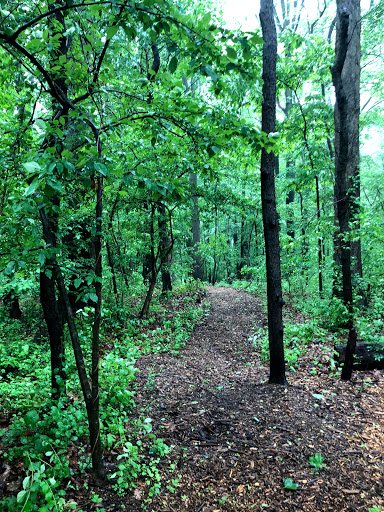 Museum «Delaware Museum of Natural History», reviews and photos, 4840 Kennett Pike, Wilmington, DE 19807, USA