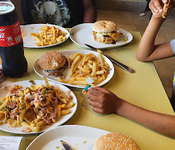 Steers photo