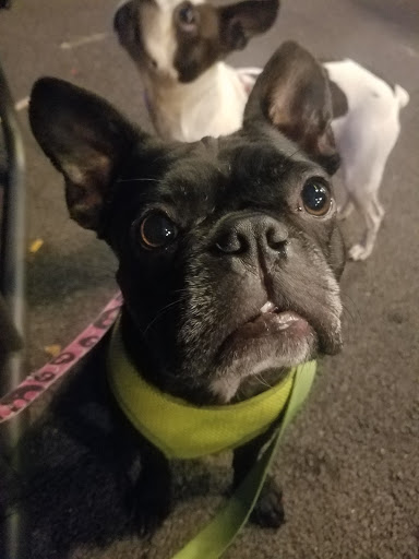 Brewery «Binghamton Brewing Co.», reviews and photos, 15 Avenue B, Johnson City, NY 13790, USA